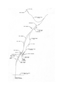 Canyon Drive map, Ray long_0001