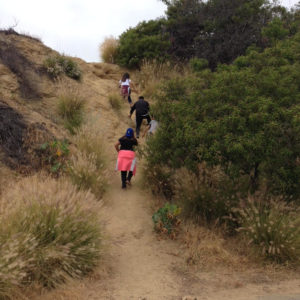 Off Deronda Drive, manmade paths eroding hillsides